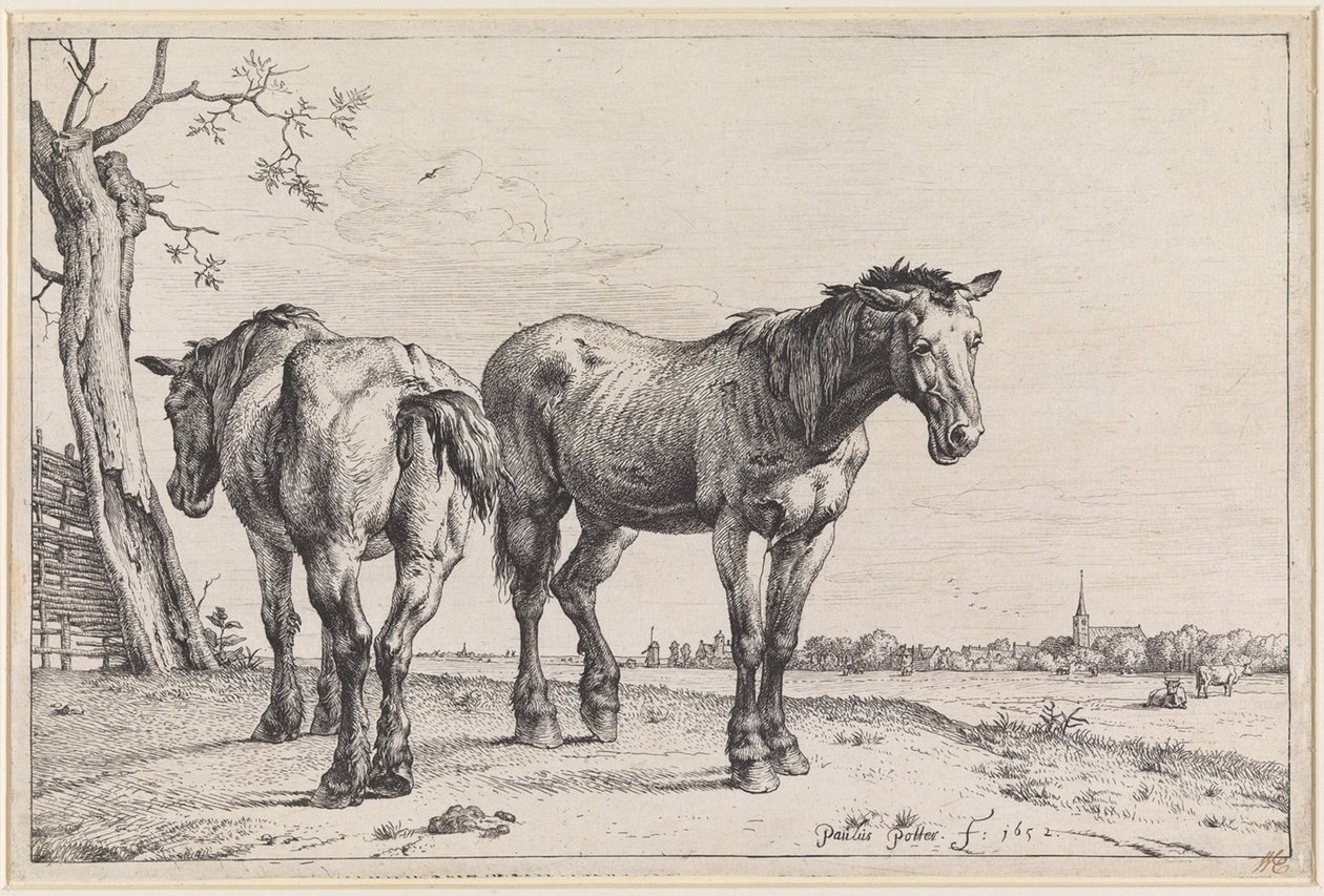 Dois cavalos de lavoura de Paulus Potter