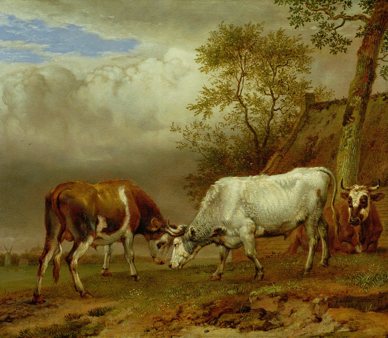 Dois touros com chifres trancados, 1653 de Paulus Potter