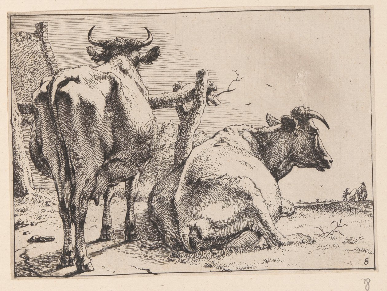 Duas vacas vistas por trás, de Vários bois e vacas de Paulus Potter