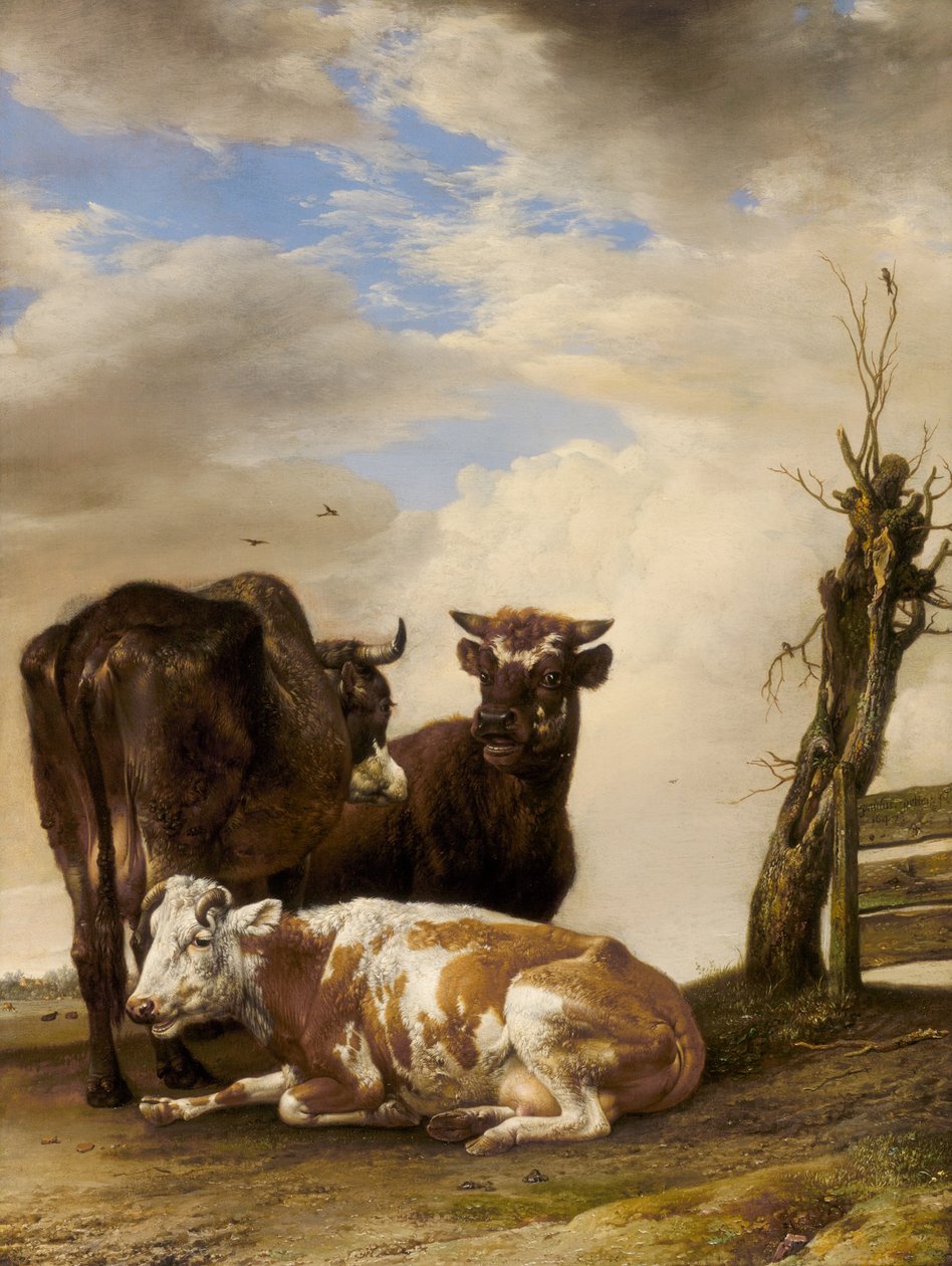 Duas vacas e um touro jovem ao lado de uma cerca em um prado de Paulus Potter
