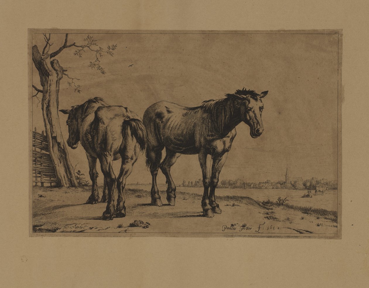 Dois cavalos de Paulus Potter