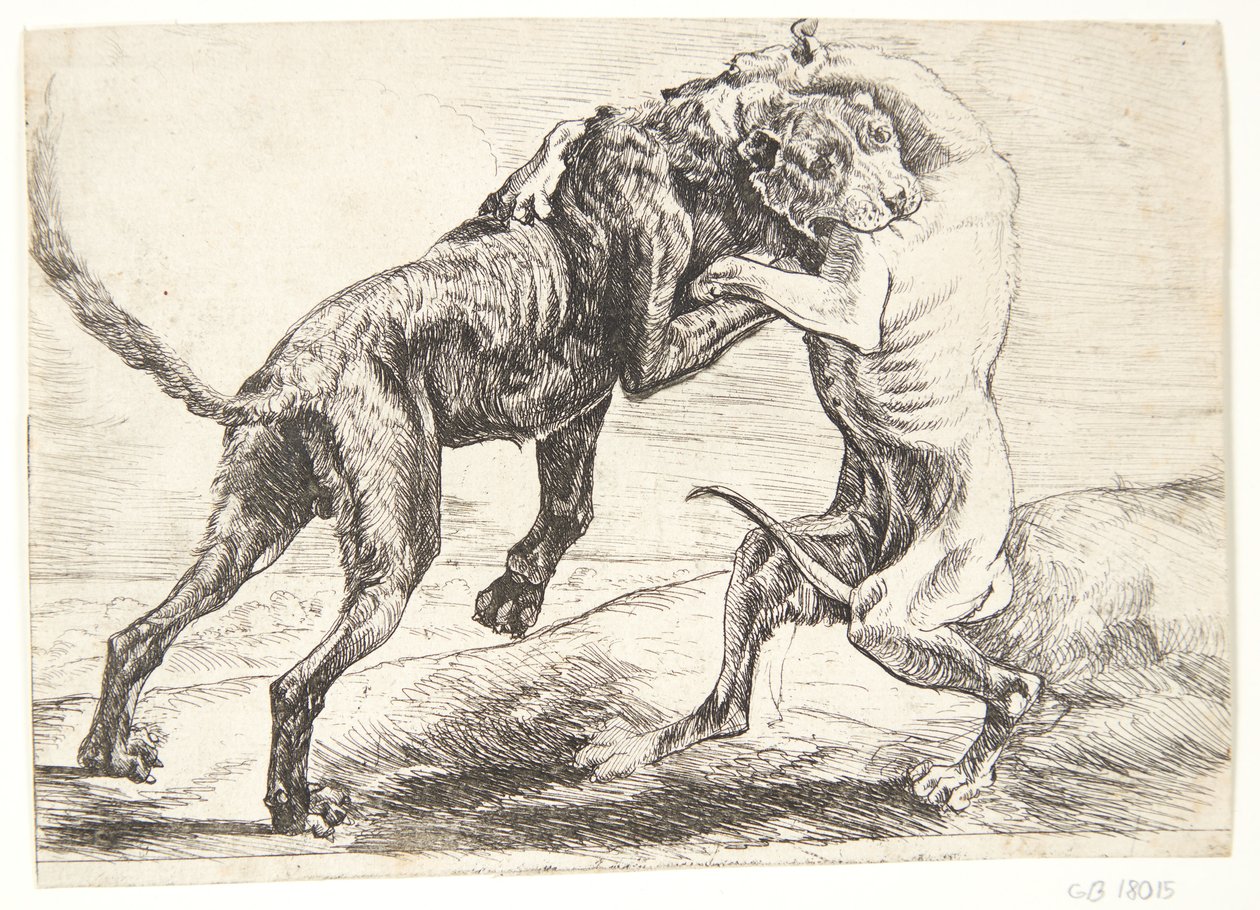 Dois cães a lutar de Paulus van Hillegaert (II)