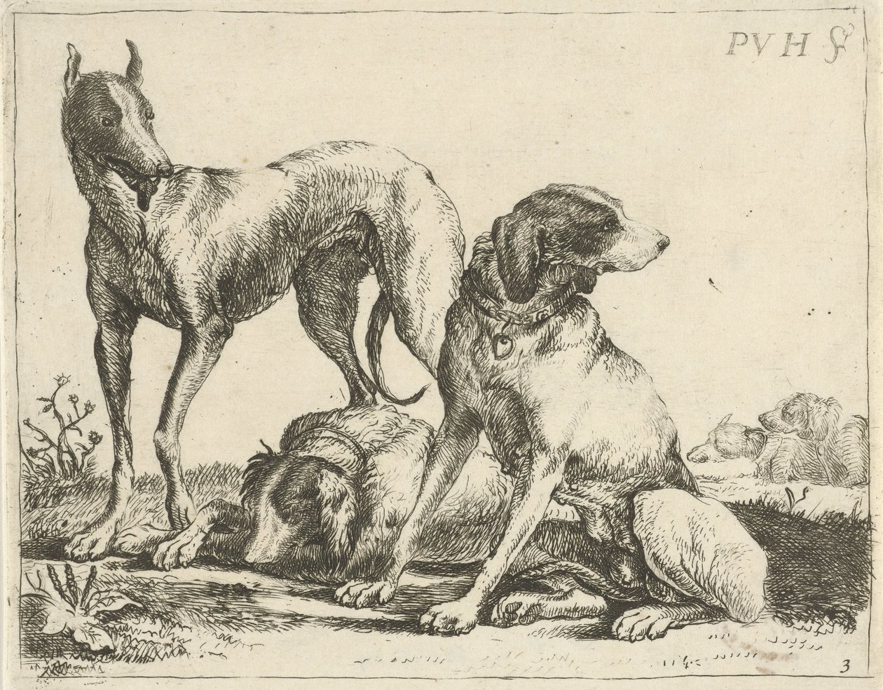 Três cães
Cães diferentes (título da série) de Pauwels van Hillegaert