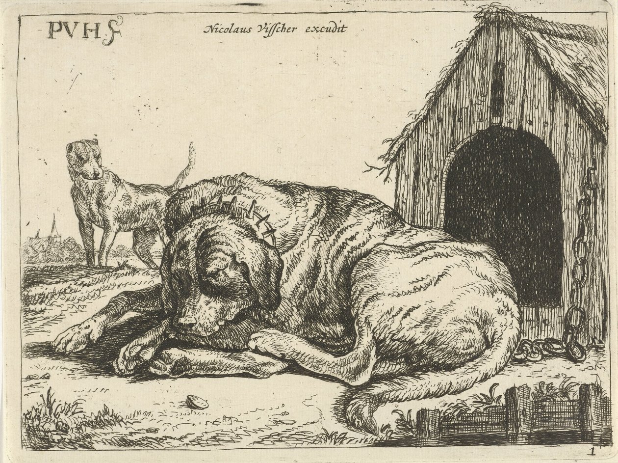Cão reclinado sobre uma corrente
Cães diferentes (título da série) de Pauwels van Hillegaert