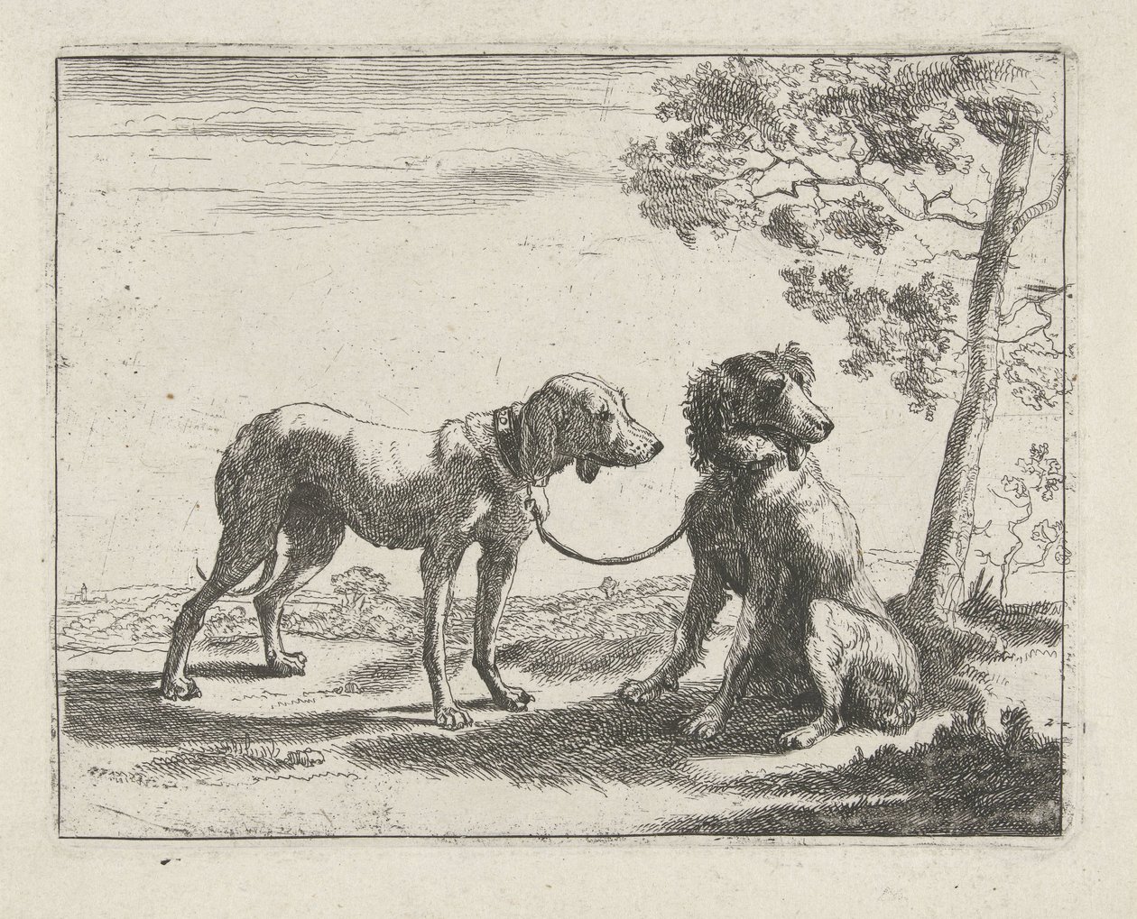 Dois cães
Cães (título da série) de Pauwels van Hillegaert