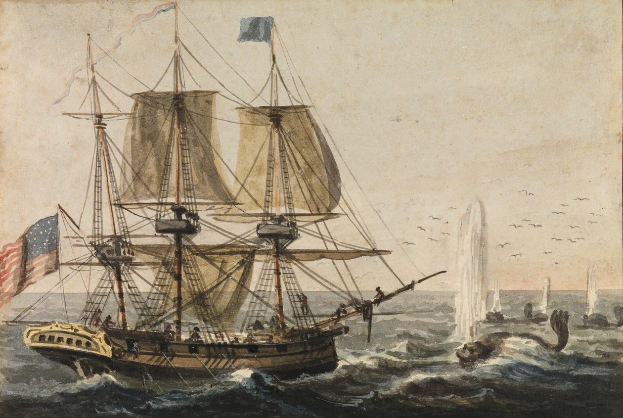 Reabastecendo a despensa do navio com bacalhau na costa da Terra Nova, 1811-ca. 1813. de Pavel Petrovic Svin