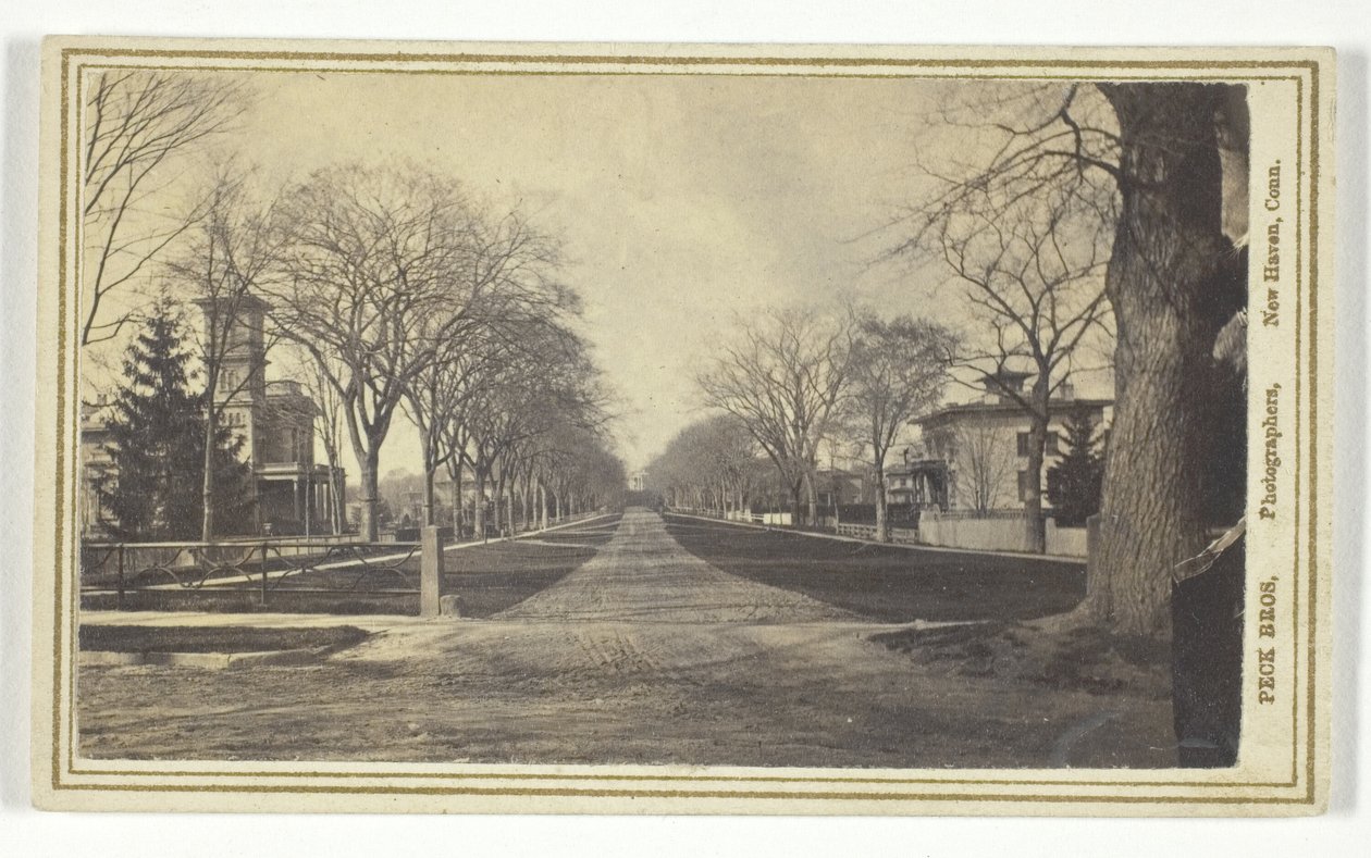 Avenida Hillhouse de Peck Brothers