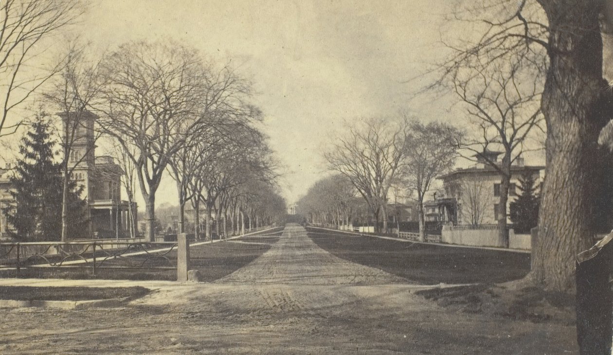 Avenida Hillhouse, século XIX. de Peck Brothers