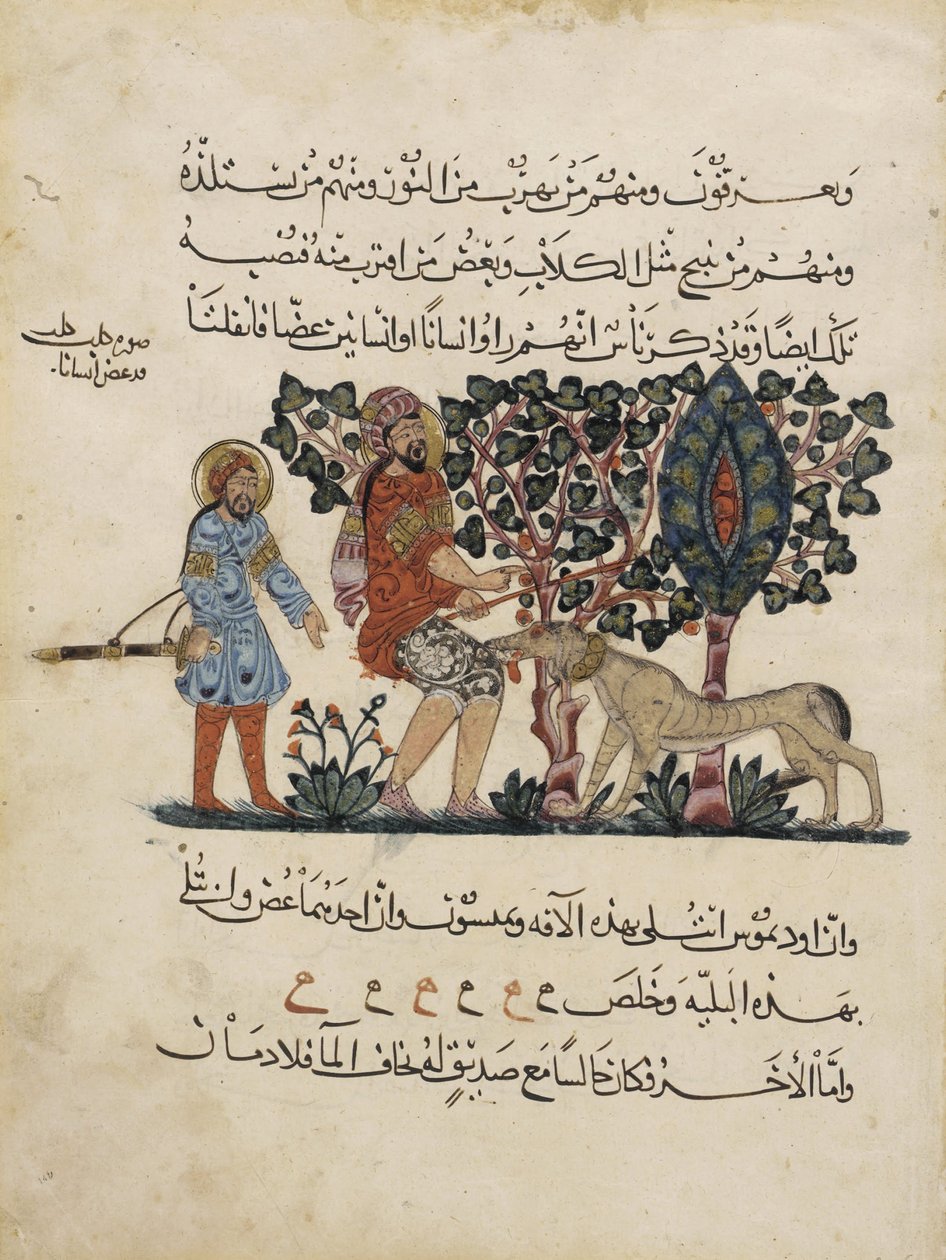 Folio de uma tradução árabe da Materia Medica por Dioscorides de Pedanius Dioscorides