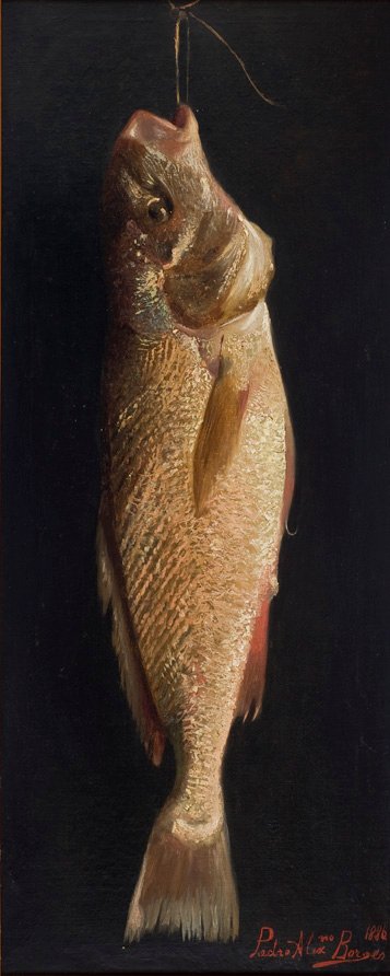 FishnPortugues: Pien de Pedro Alexandrino Borges