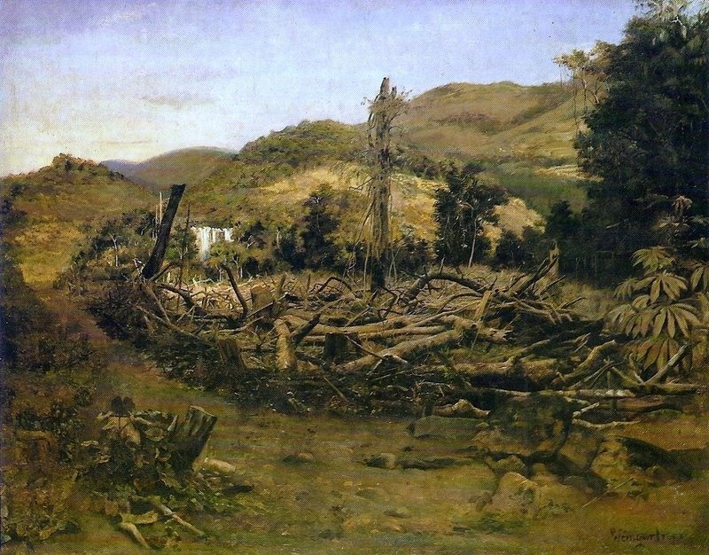 Derrubada de árvores de Pedro Weingärtner