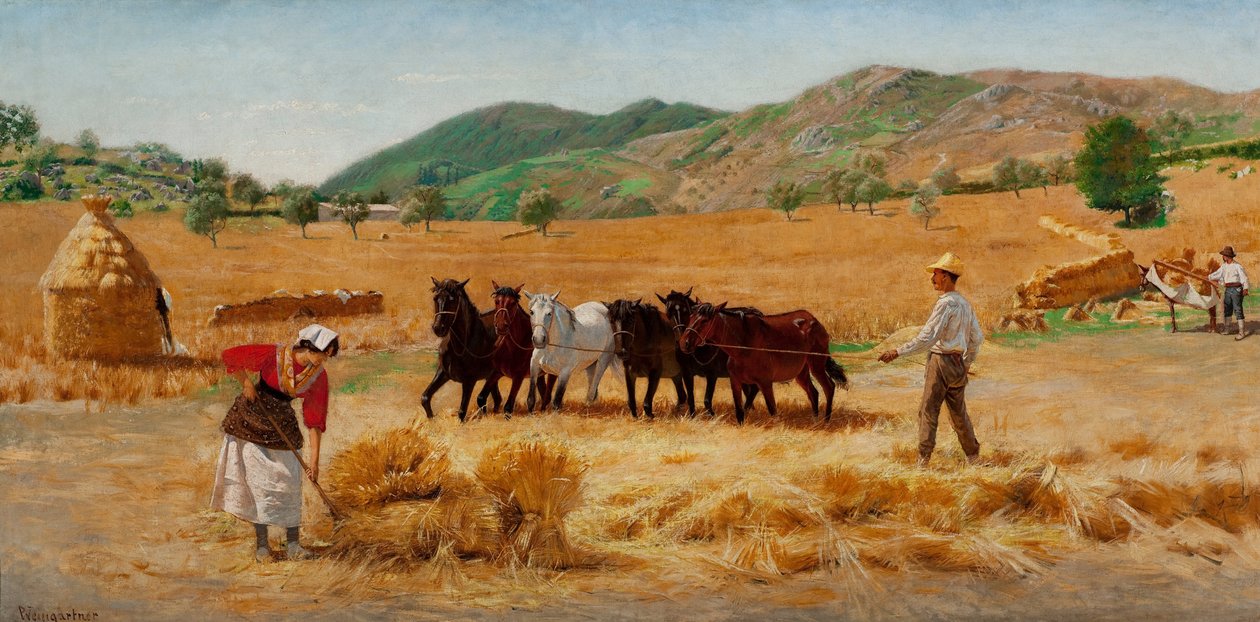 Colheita em Anticoli de Pedro Weingärtner