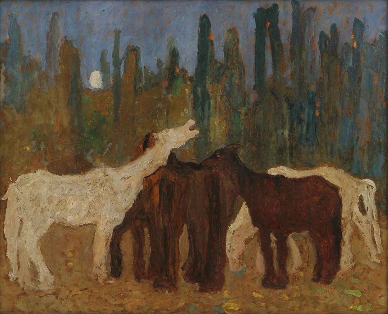 Desculpe de Pedro Figari