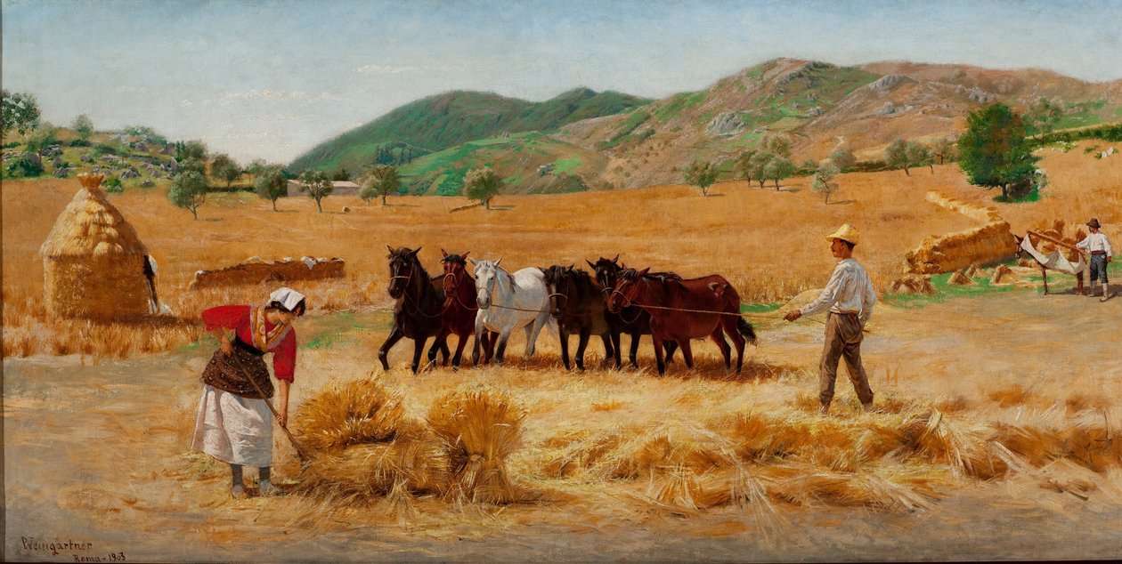 Colheita em Anticoli de Pedro Weingärtner