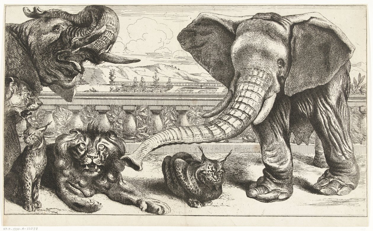 Elefantes, leões e linces nos jardins de Versalhes de Peeter Boel (attributed to)