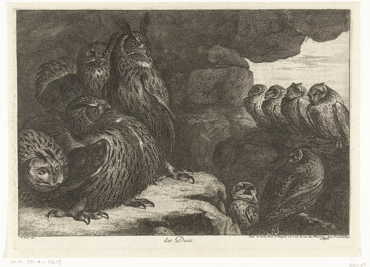 Corujas numa caverna
des Ducs (título sobre o objecto)
Aves do menagerie de Versailles (título da série) de Peeter Boel (attributed to)