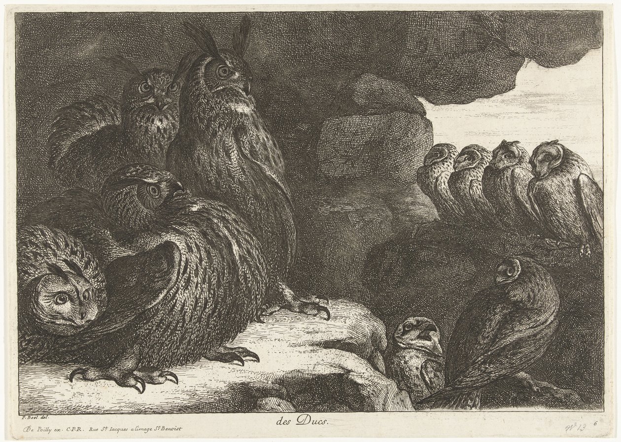 Corujas numa caverna
des Ducs (título sobre o objecto)
Aves do menagerie de Versailles (título da série) de Peeter Boel (attributed to)
