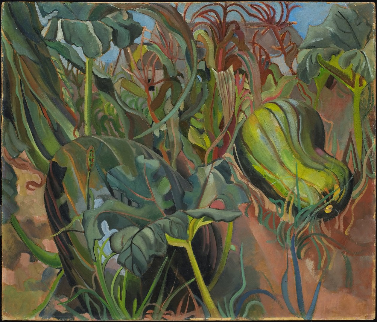 O Jardim Tangled de Pegi Nicol Macleod