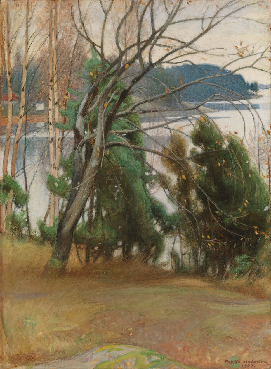Salgueiro-branco no outono de Pekka Halonen