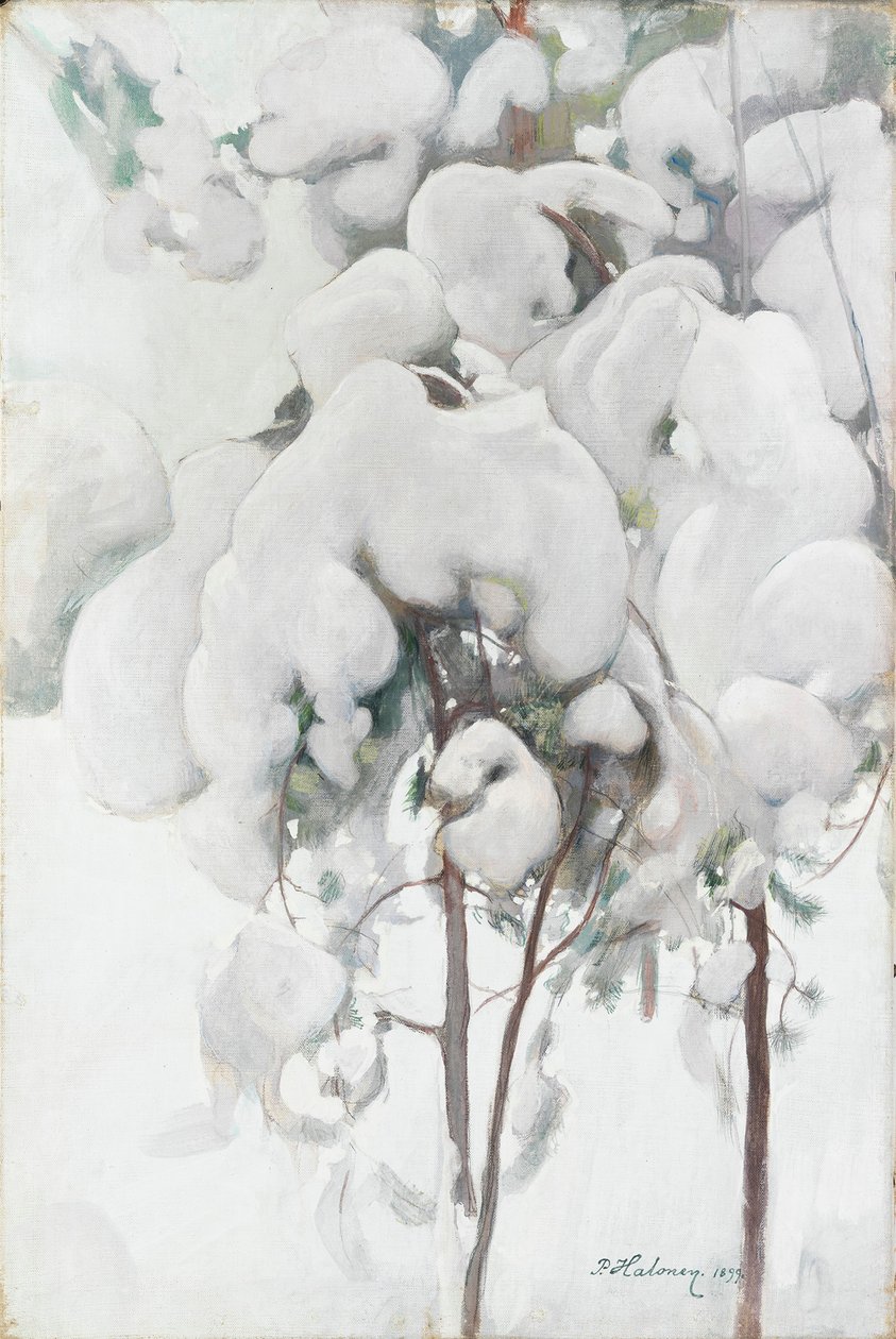Mudas de pinheiro cobertas de neve de Pekka Halonen
