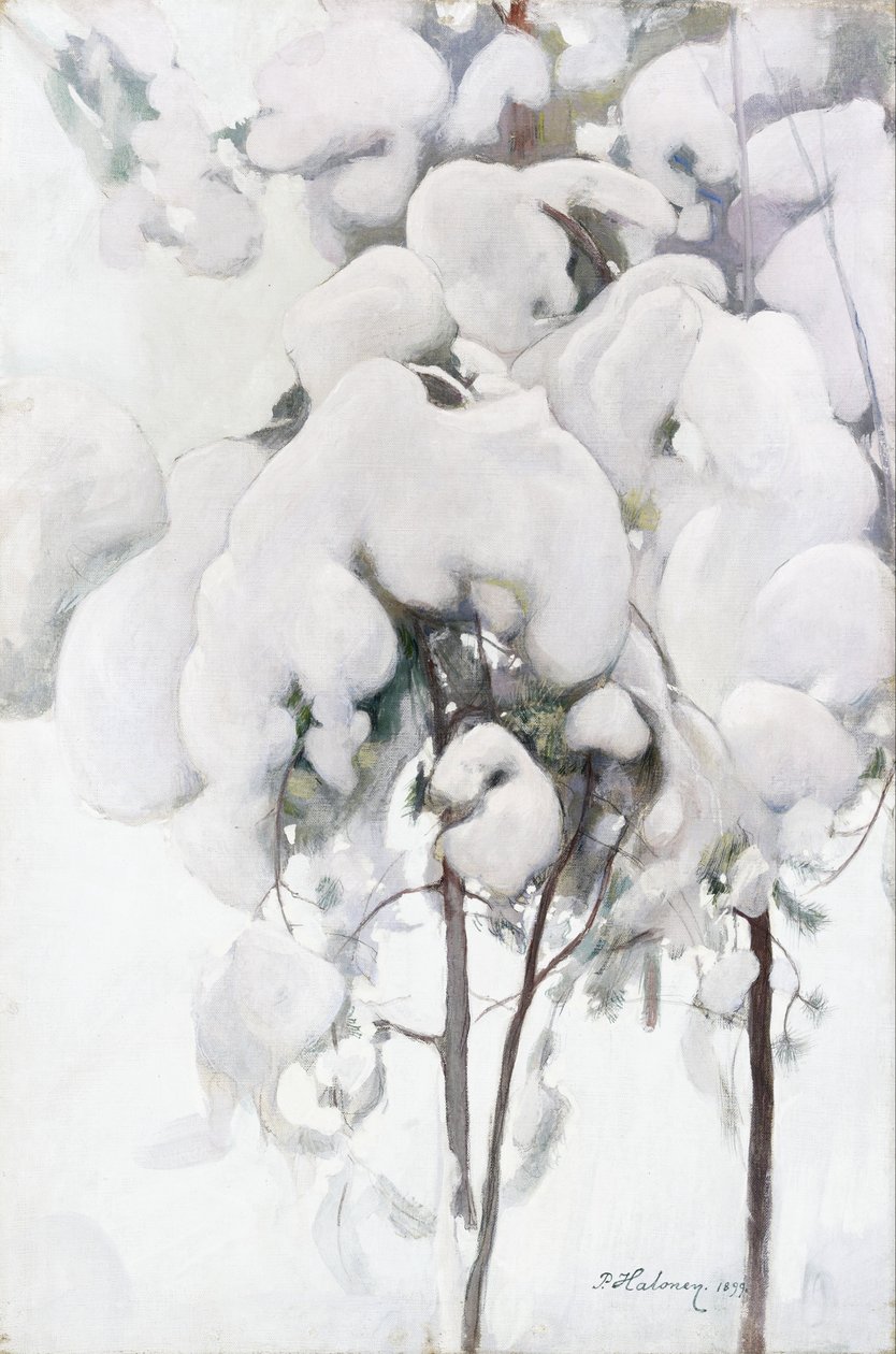Mudas de pinheiro cobertas de neve de Pekka Halonen