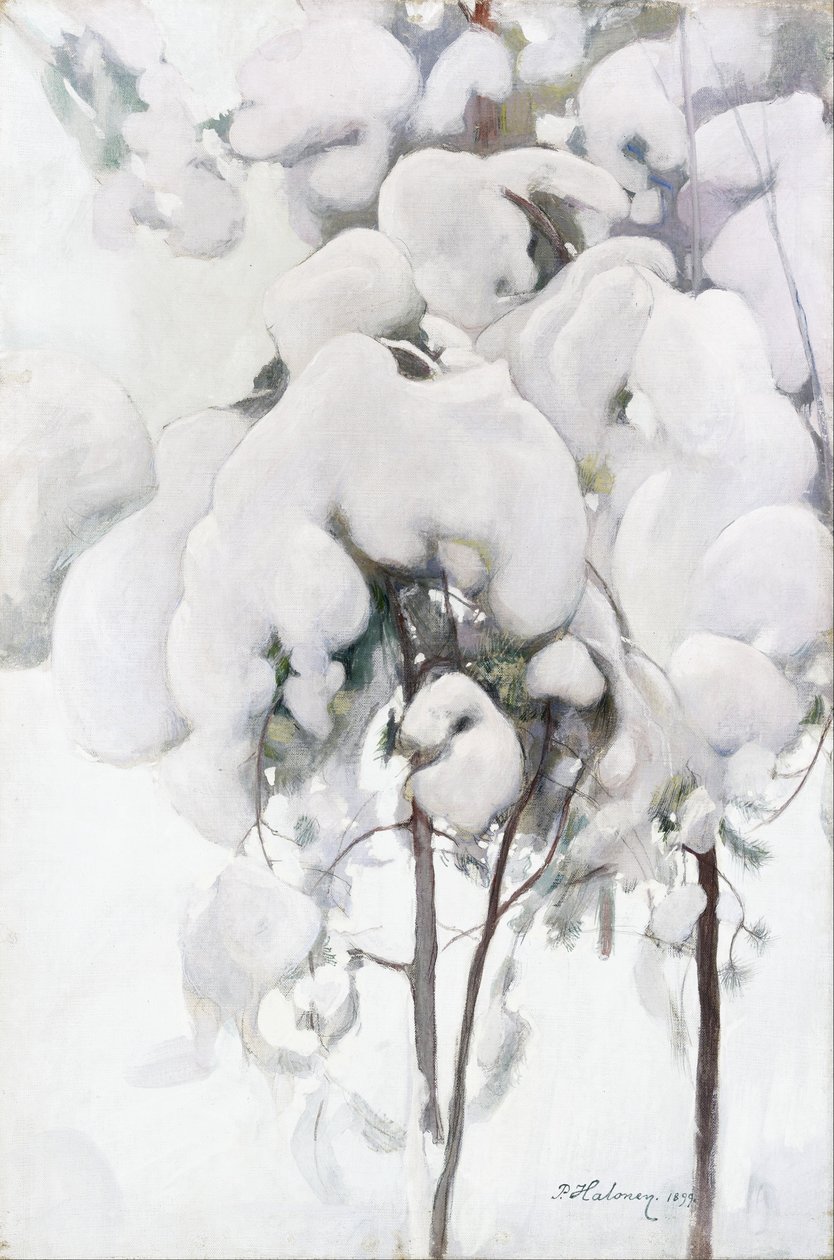 Mudas de pinheiro coberto de neve de Pekka Halonen