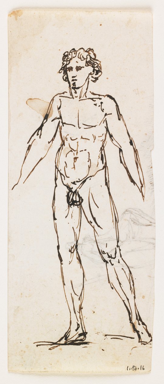 Homem nu de pé (caneta e tinta marrom no papel) de Pelagio Palagi