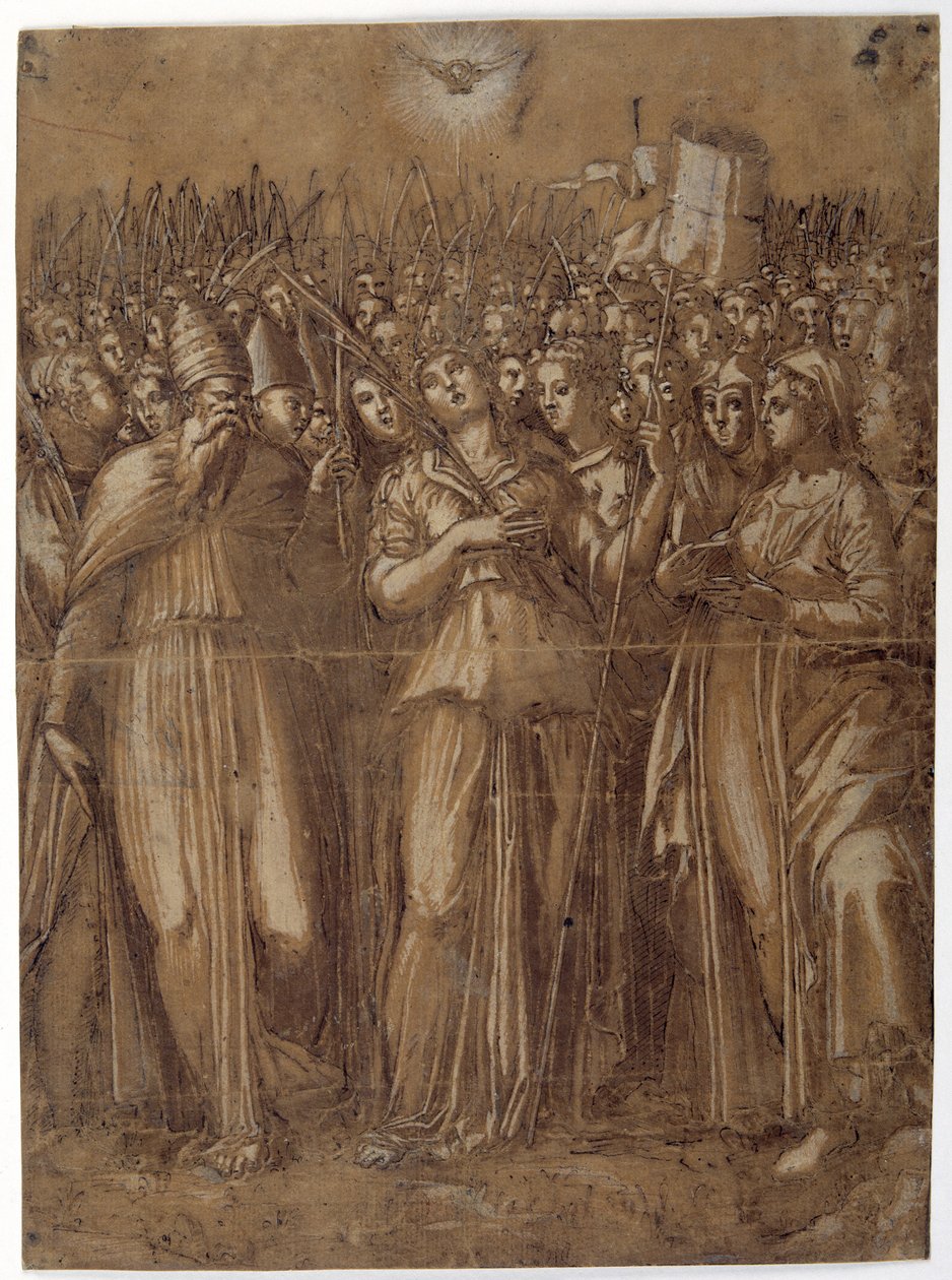 Santa Úrsula com as virgens martirizadas (caneta e tinta marrom realçada com a cor do corpo branca sobre papel lavado de marrom) de Pellegrino (c.1460 1523) Aretusi