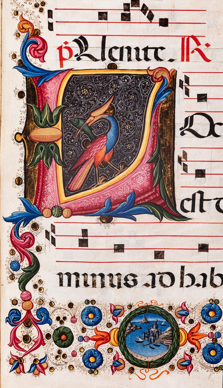 Biblioteca Piccolomini: livro coral, código. 5.E, ff. 63r com "Foliated initial", de Pellegrino di Mariano. Detalhe. de Pellegrino di Mariano
