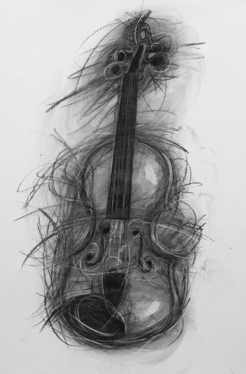 Violino, 2005 (carvão vegetal sobre papel) de Penny Warden