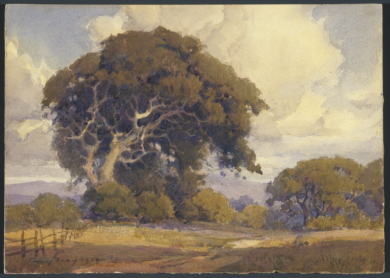 Carvalho envelhecido de Percy Gray