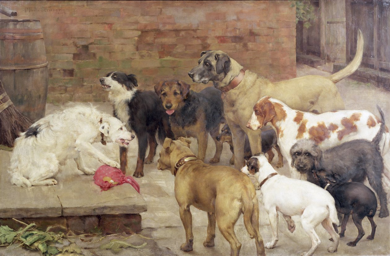 O cão com seu jantar de mestrado, 1892 de Percy Harland Fisher