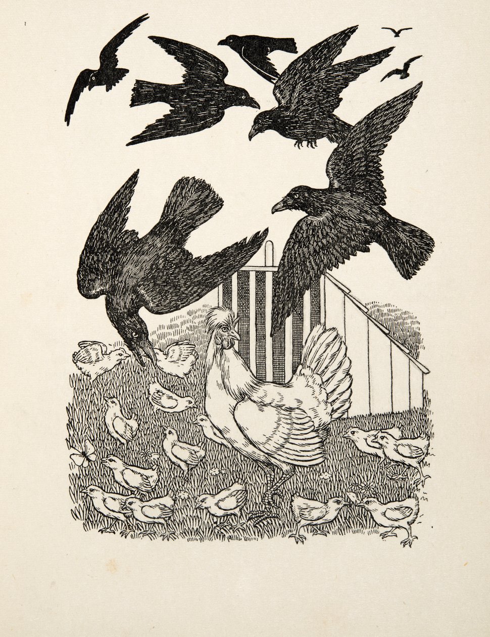 Um corvo calculando, de cem anecdotes dos animais, bar. 1924 de Percy J. Billingshurst