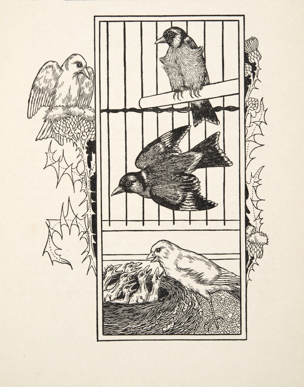 Um canário caritativo, de cem anecdotes dos animais, bar. 1924 de Percy J. Billingshurst