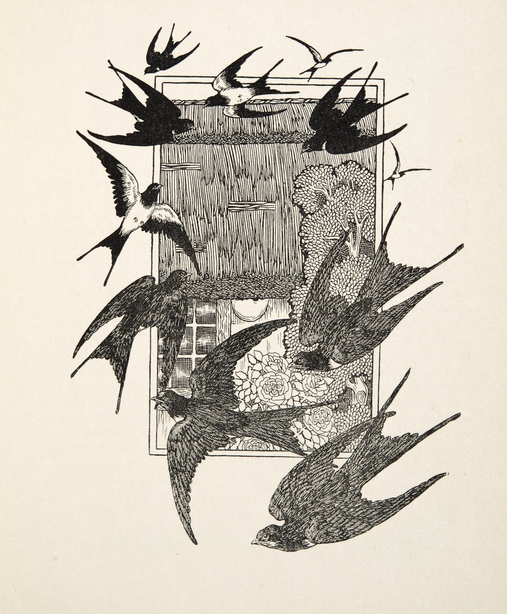 Um usurpador punido, de cem anecdotes dos animais, bar. 1924 de Percy J. Billingshurst