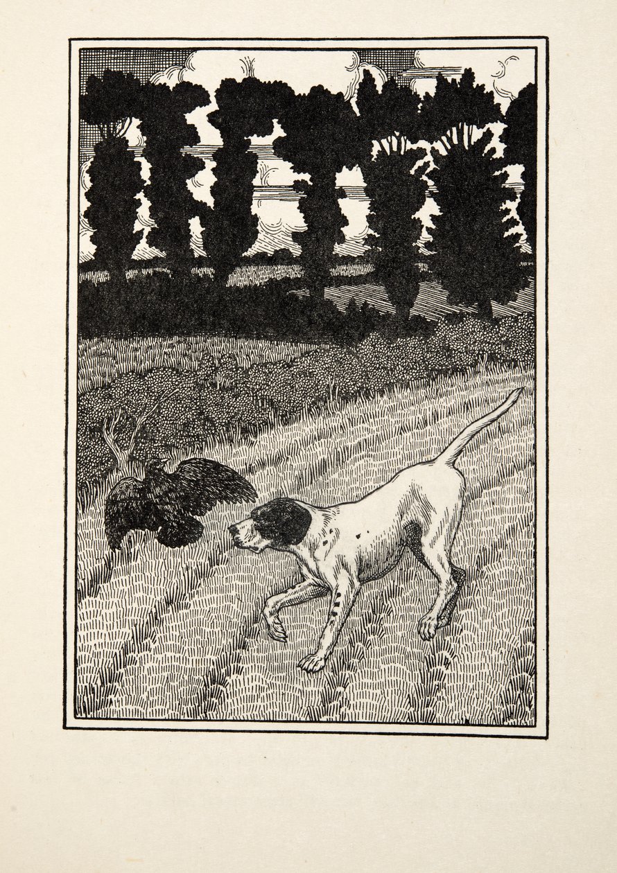 Enganando o Fowler, de cem anecdotes dos animais, bar. 1924 de Percy J. Billingshurst
