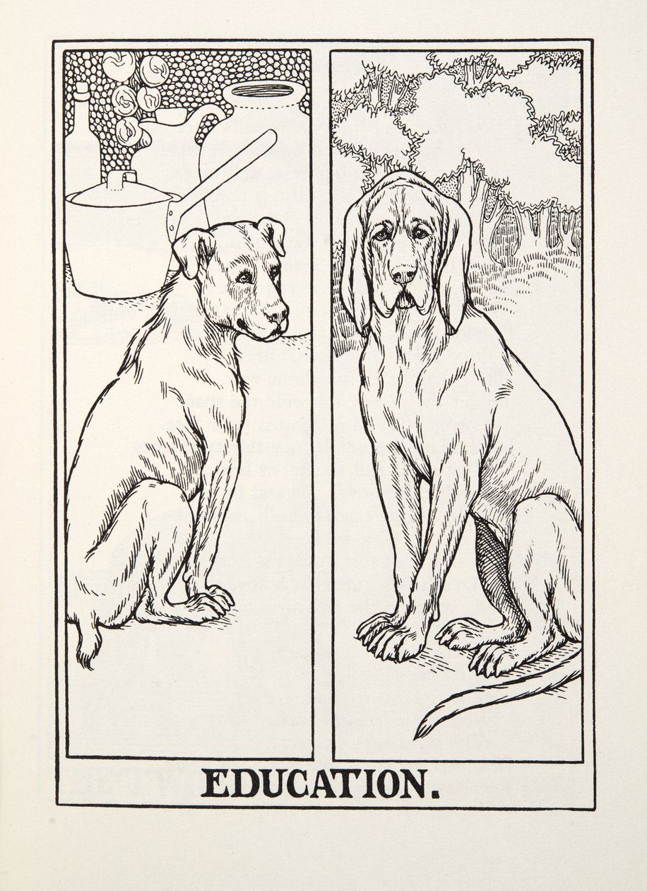 Educação, de Fontaine Fables, pub. 1905 de Percy J. Billingshurst