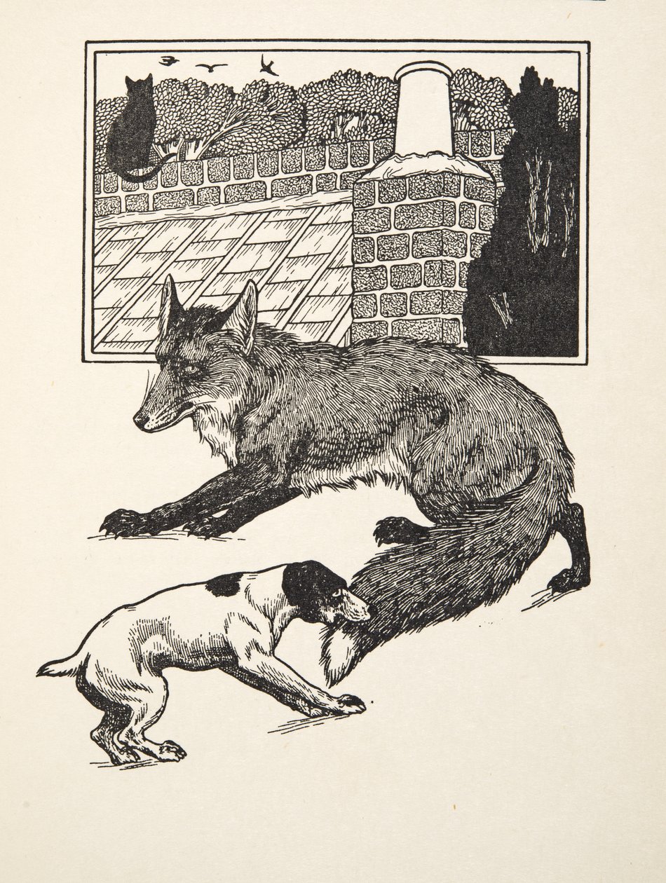 Fox Chasing, de cem anedotas de animais, pub. 1924 de Percy J. Billingshurst