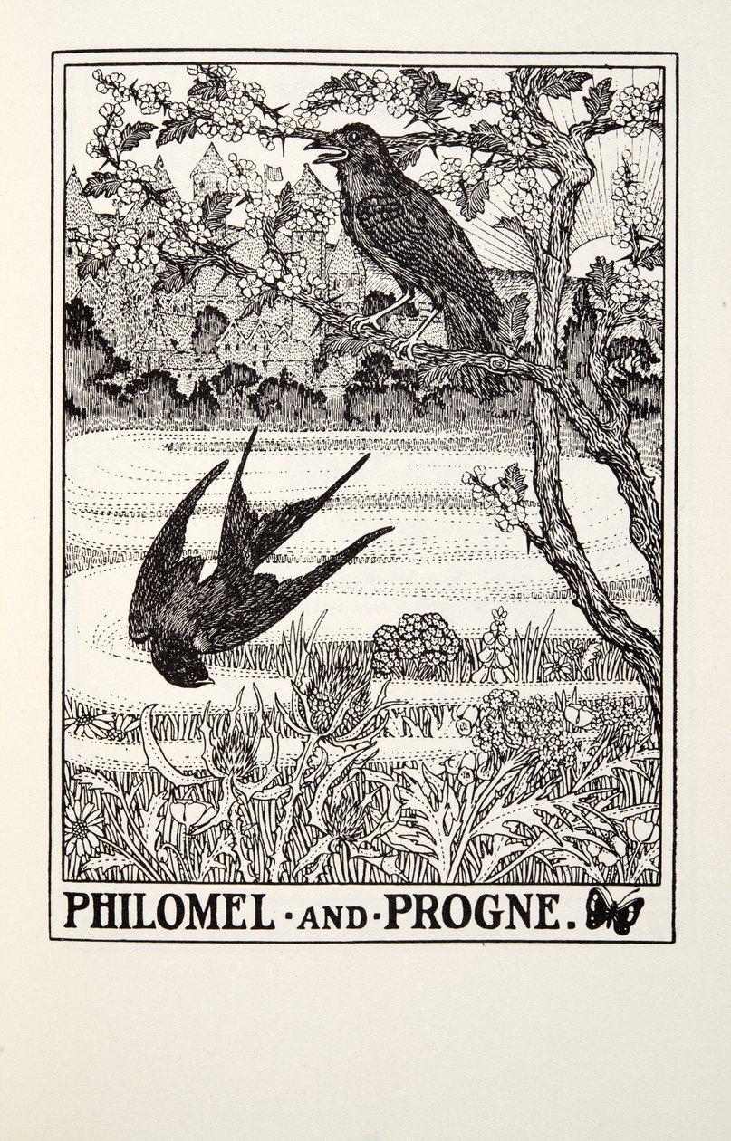 Philomel e Progne, de Fontaine Fables, pub. 1905 de Percy J. Billingshurst