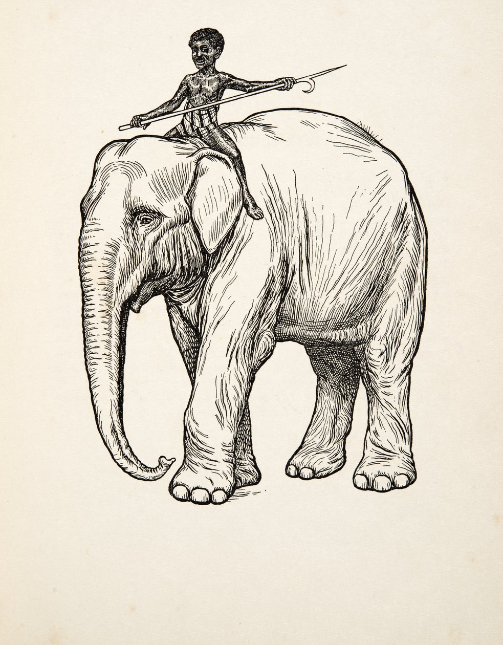 Remorso, de cem anecdotes dos animais, bar. 1924 de Percy J. Billingshurst
