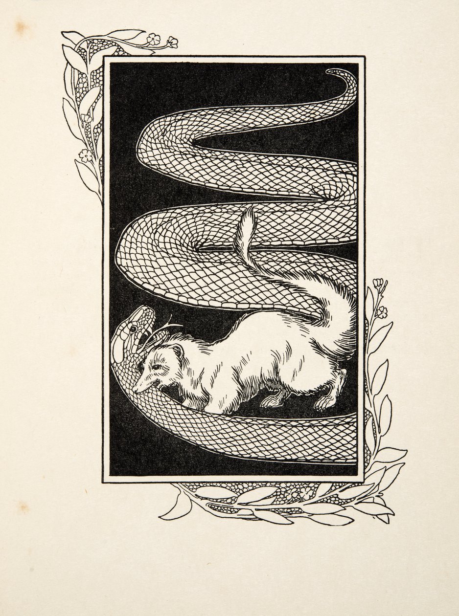 Snake Destroyers, de A Hundred Anecdotes of Animals, pub. 1924 (gravura) de Percy J. Billingshurst