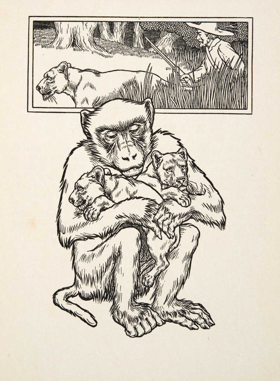 Solicitar Succour, de A Hundred Anecdotes of Animals, pub. 1924 (gravura) de Percy J. Billingshurst