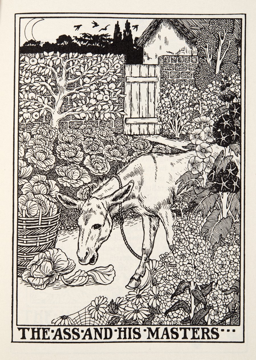 O burro e seus mestres, de Fontaine Fables, pub. 1905 de Percy J. Billingshurst
