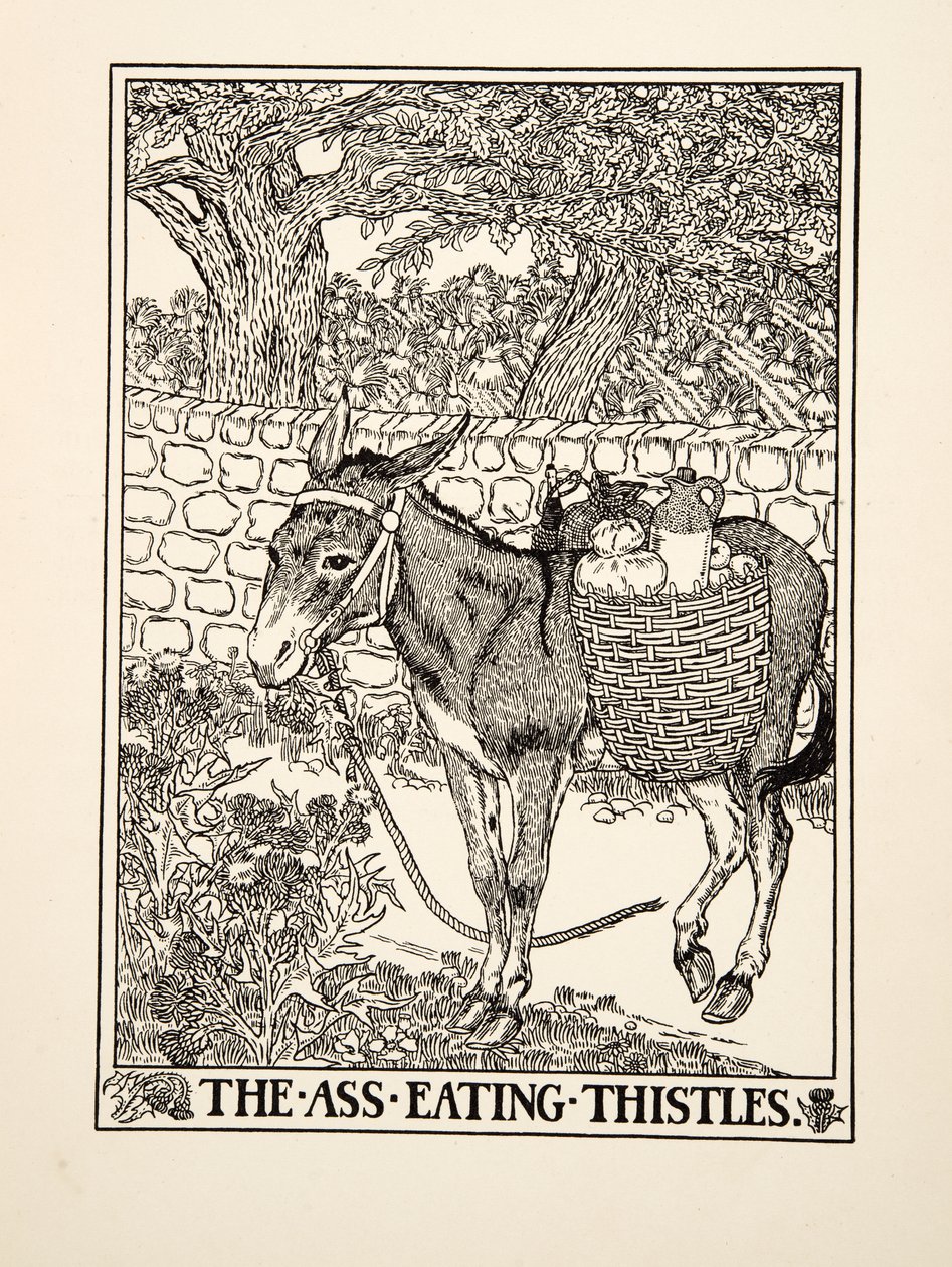 O burro comendo cardos, de cem fábulas de Esopo, pub.1903 de Percy J. Billingshurst