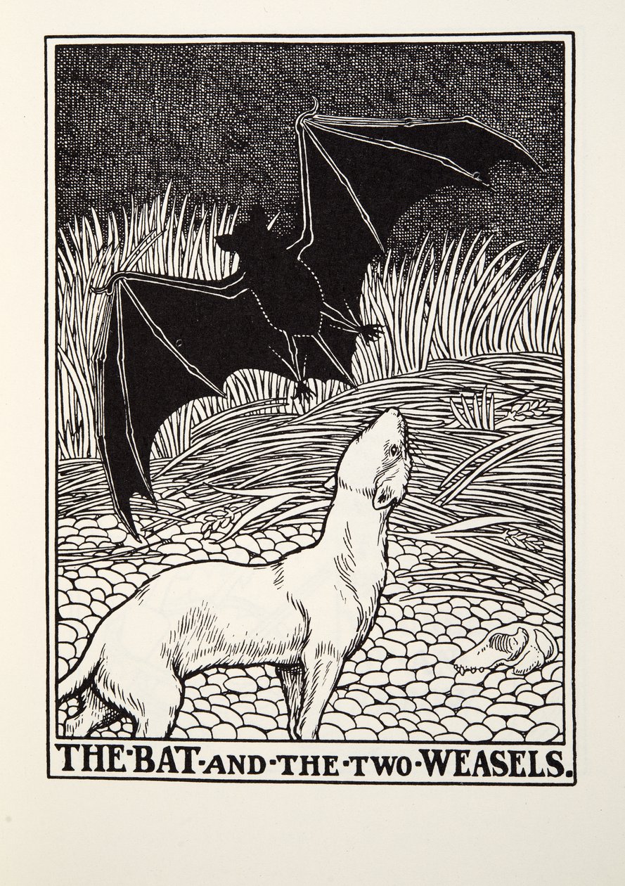 O morcego e as duas doninhas, de Fontaine Fables, pub. 1905 de Percy J. Billingshurst