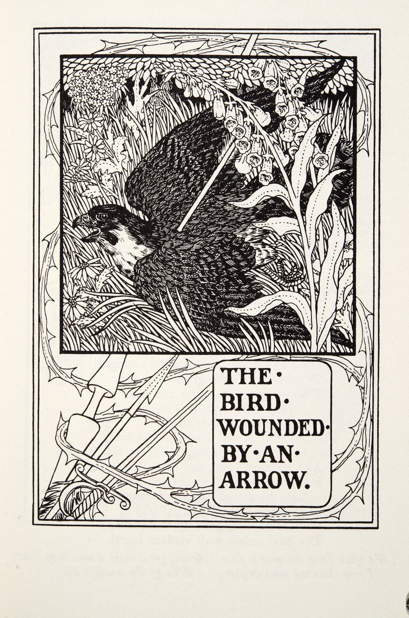 O Pássaro Ferido por uma Flecha, de Fontaine Fables, pub. 1905 de Percy J. Billingshurst