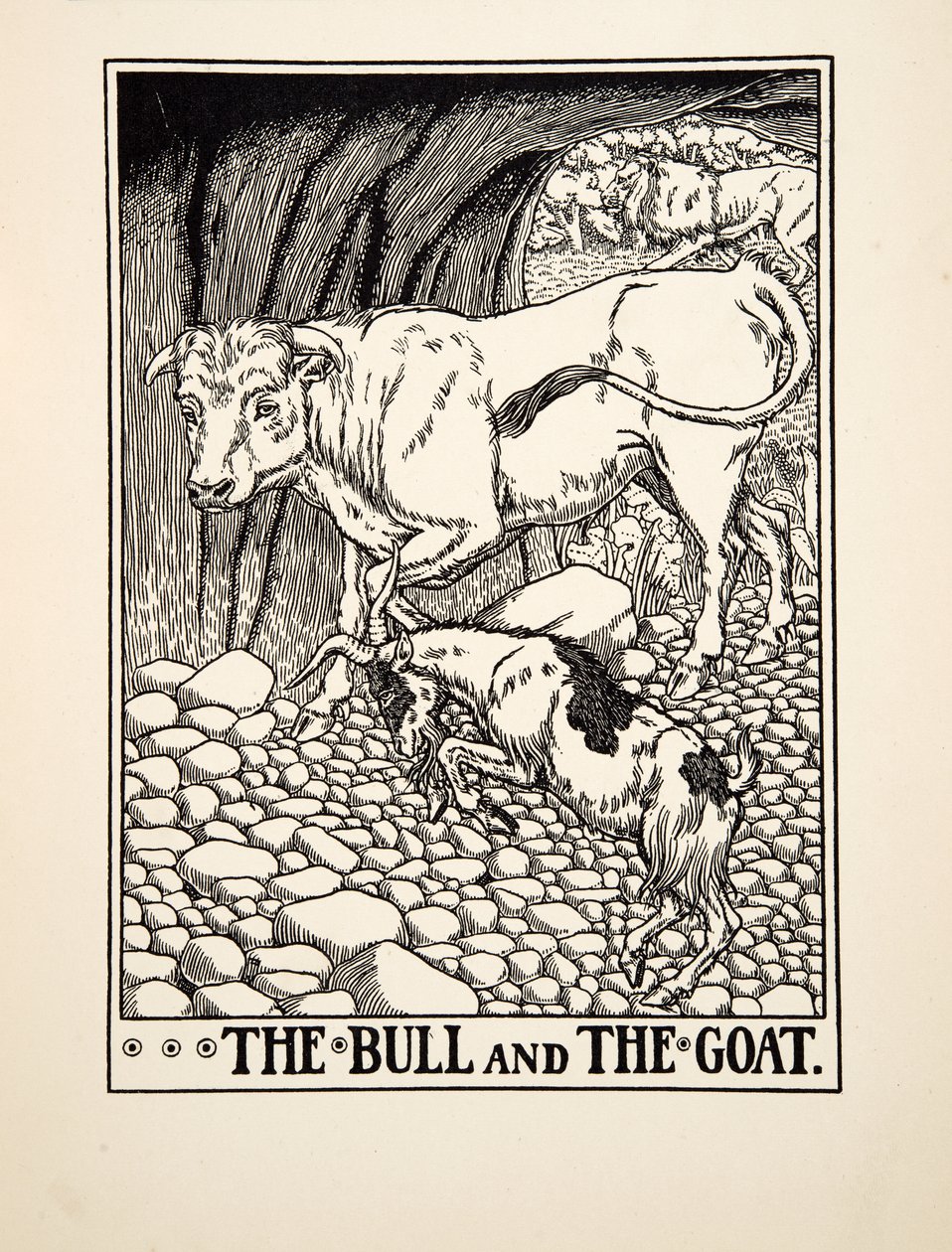 The Bull and the Goat, from A Hundred Fables of Aesop, pub.1903 (gravura) de Percy J. Billingshurst