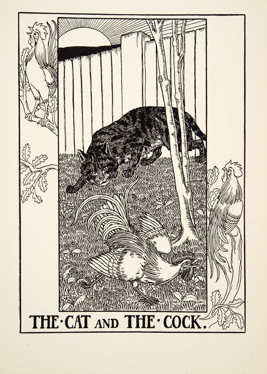 O gato e o galo, de cem fábulas de Esopo, pub.1903 de Percy J. Billingshurst