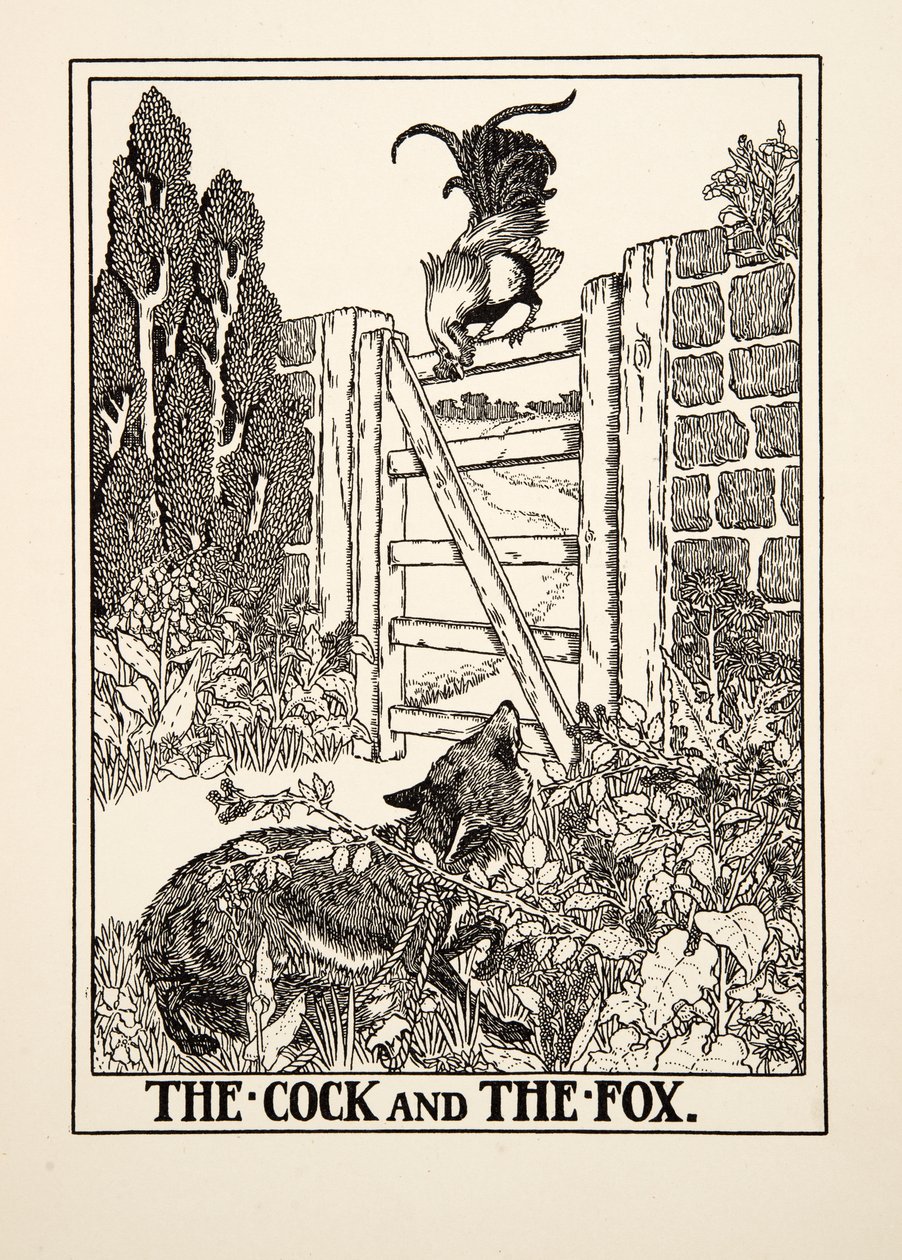O galo e a raposa, de cem fábulas de Esopo, pub.1903 de Percy J. Billingshurst