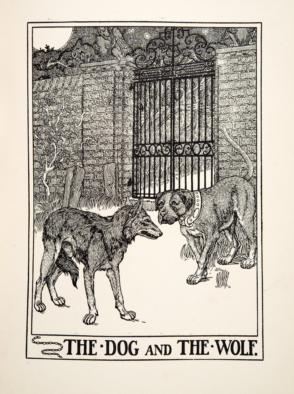 The Dog and the Wolf, from A Hundred Fables of Aesop, pub.1903 (gravura) de Percy J. Billingshurst